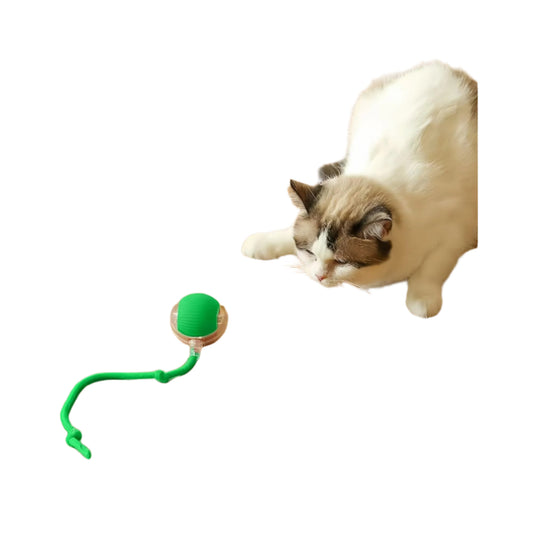 כדור משחק